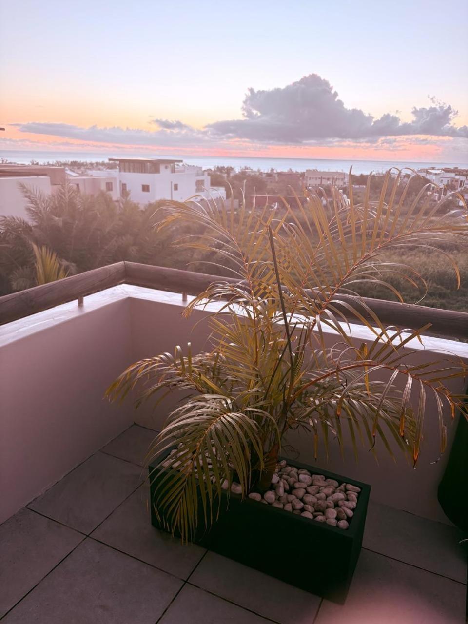 Stunning 3-Bedroom Apartment With Private Rooftop Terrace & Gorgeous Pool Flic-en-Flacq Exteriér fotografie